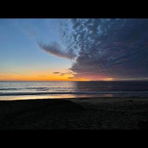 Meet your Posher, Asha